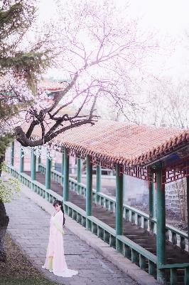 九九影院在线观看免费最新电视剧